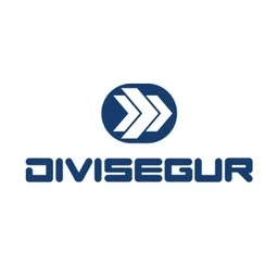 Divisegur